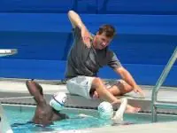 Het verschil tussen zwemcoaching en training